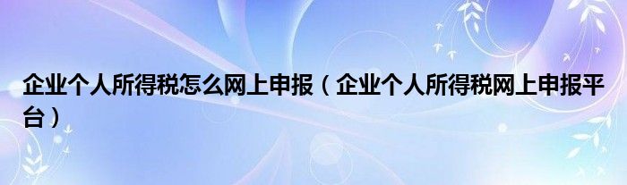 企业个人所得税怎么网上申报(企业个人所得税网上申报平台)