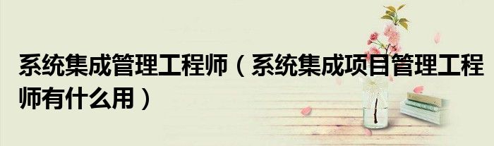 系统集成管理工程师(系统集成项目管理工程师有什么用)