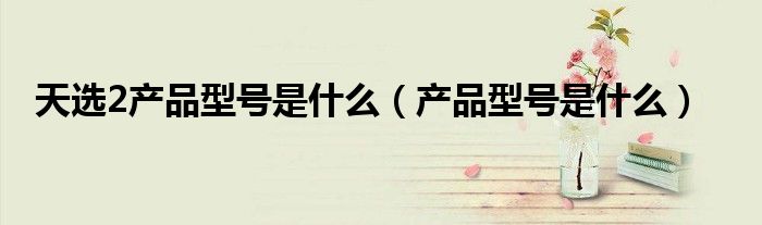 天选2产品型号是什么(产品型号是什么)