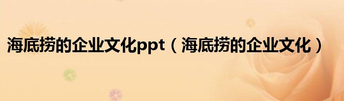 海底捞的企业文化ppt(海底捞的企业文化)