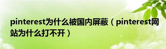 pinterest为什么被国内屏蔽(pinterest网站为什么打不开)