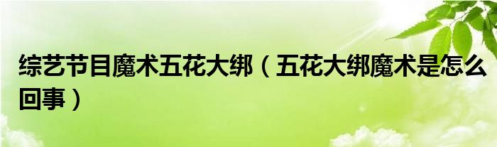 综艺节目魔术五花大绑(五花大绑魔术是怎么回事)