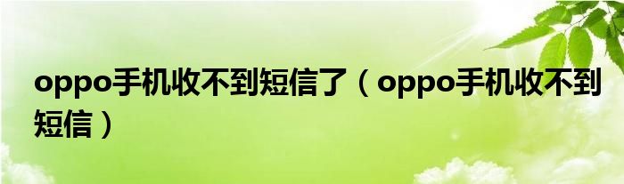 oppo手机收不到短信了(oppo手机收不到短信)