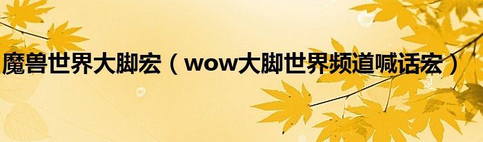 魔兽世界大脚宏(wow大脚世界频道喊话宏)