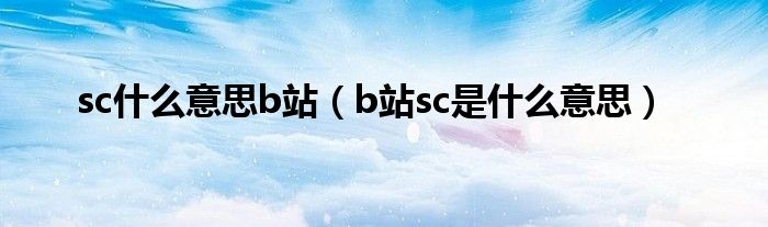 sc什么意思b站(b站sc是什么意思)