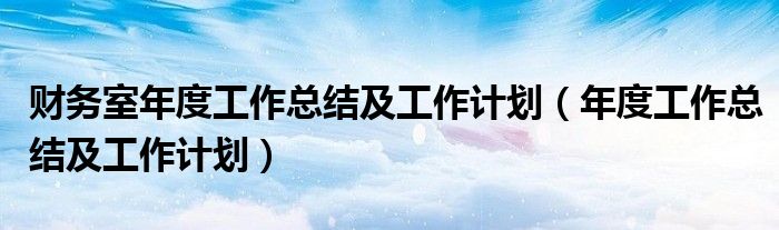 财务室年度工作总结及工作计划(年度工作总结及工作计划)