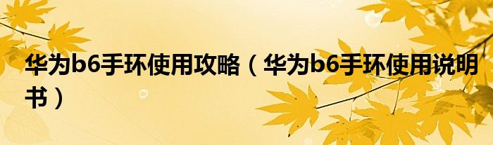 华为b6手环使用攻略(华为b6手环使用说明书)