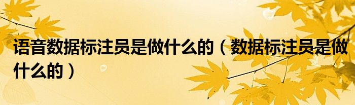 语音数据标注员是做什么的(数据标注员是做什么的)