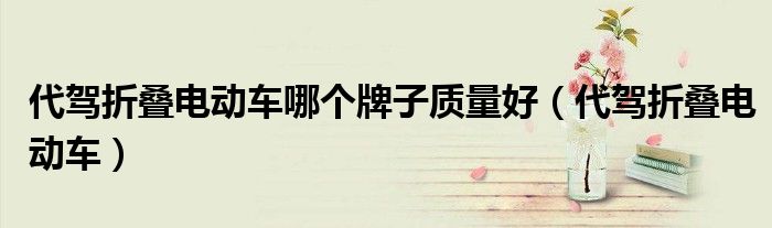 代驾折叠电动车哪个牌子质量好(代驾折叠电动车)