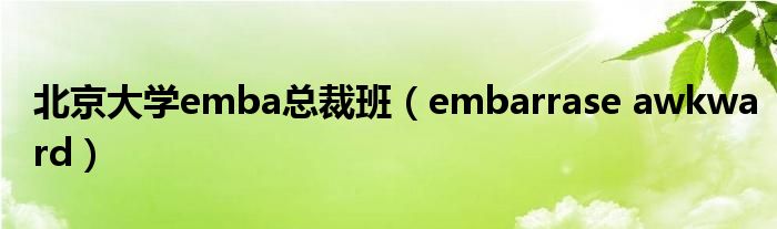 北京大学emba总裁班(embarrase awkward)