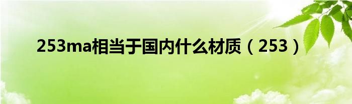 253ma相当于国内什么材质(253)
