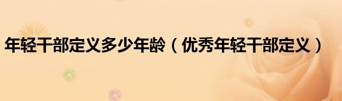 年轻干部定义多少年龄(优秀年轻干部定义)