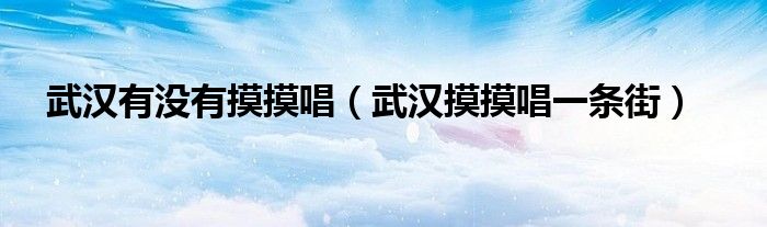 武汉有没有摸摸唱(武汉摸摸唱一条街)