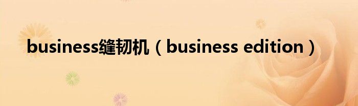 business缝韧机(business edition)