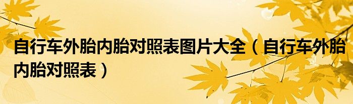 自行车外胎内胎对照表图片大全(自行车外胎内胎对照表)