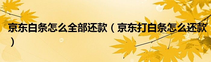 京东白条怎么全部还款(京东打白条怎么还款)