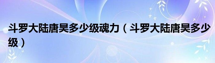 斗罗大陆唐昊多少级魂力(斗罗大陆唐昊多少级)