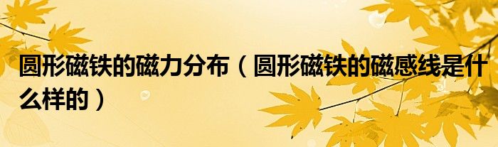圆形磁铁的磁力分布(圆形磁铁的磁感线是什么样的)