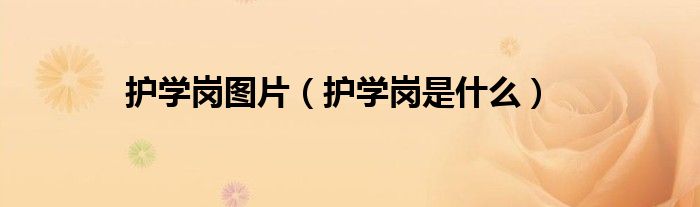 护学岗图片(护学岗是什么)