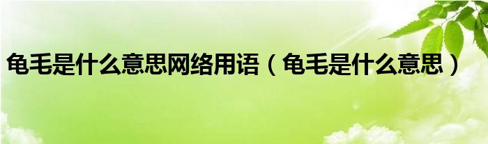龟毛是什么意思网络用语(龟毛是什么意思)