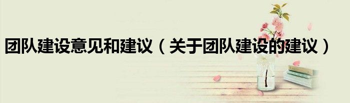 团队建设意见和建议(关于团队建设的建议)