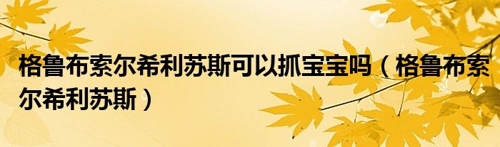 格鲁布索尔希利苏斯可以抓宝宝吗（格鲁布索尔希利苏斯）