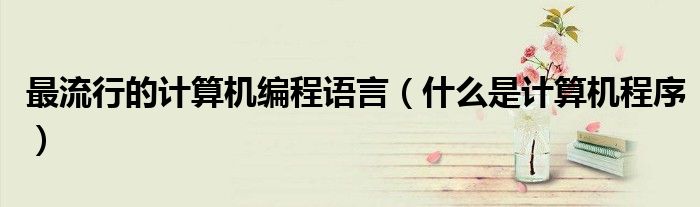 最流行的计算机编程语言(什么是计算机程序)