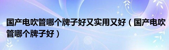 国产电吹管哪个牌子好又实用又好(国产电吹管哪个牌子好)