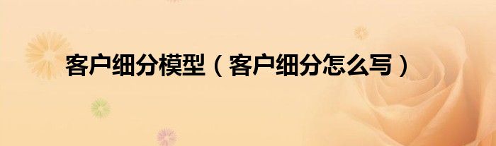 客户细分模型(客户细分怎么写)