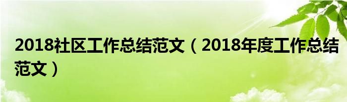 2018社区工作总结范文(2018年度工作总结范文)