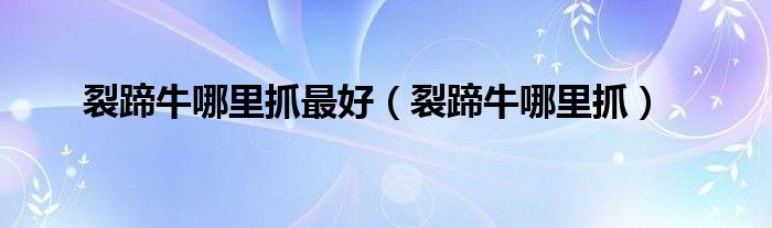 裂蹄牛哪里抓最好(裂蹄牛哪里抓)