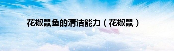 花椒鼠鱼的清洁能力(花椒鼠)