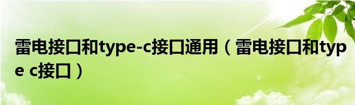 雷电接口和type-c接口通用(雷电接口和type c接口)