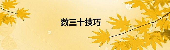 数三十技巧