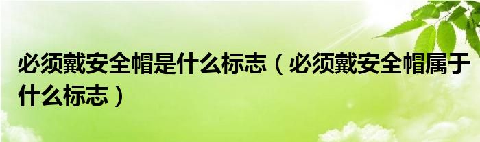 必须戴安全帽是什么标志（必须戴安全帽属于什么标志）
