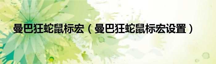 曼巴狂蛇鼠标宏(曼巴狂蛇鼠标宏设置)