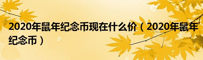 2020年鼠年纪念币现在什么价(2020年鼠年纪念币)