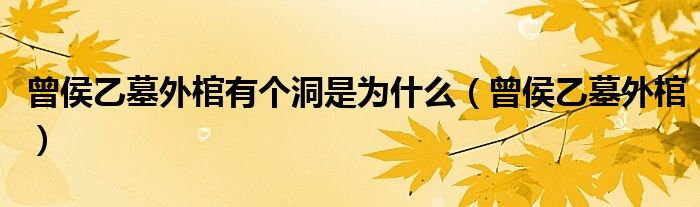 曾侯乙墓外棺有个洞是为什么(曾侯乙墓外棺)