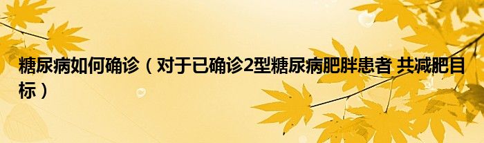 糖尿病如何确诊(对于已确诊2型糖尿病肥胖患者 共减肥目标)