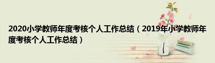 2020小学教师年度考核个人工作总结(2019年小学教师年度考核个人工作总结)
