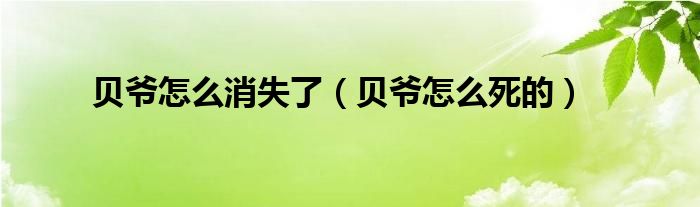 贝爷怎么消失了(贝爷怎么死的)