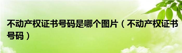 不动产权证书号码是哪个图片(不动产权证书号码)