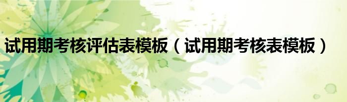 试用期考核评估表模板(试用期考核表模板)