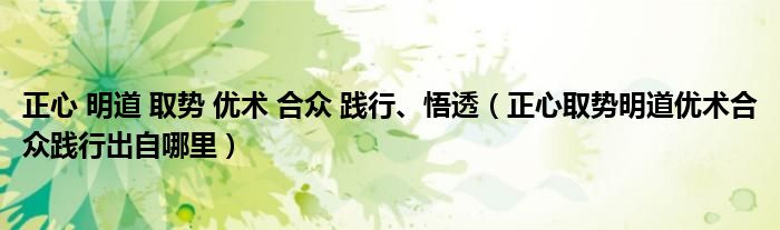 正心 明道 取势 优术 合众 践行、悟透(正心取势明道优术合众践行出自哪里)