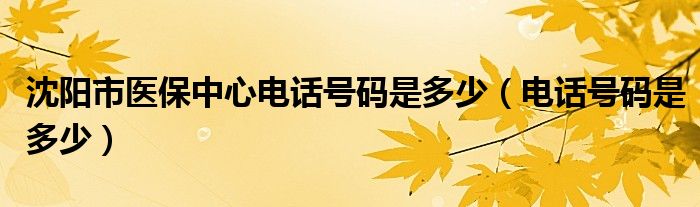 沈阳市医保中心电话号码是多少(电话号码是多少)