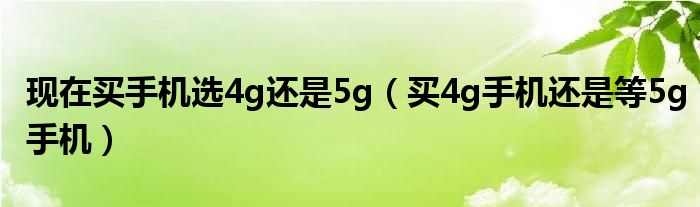 现在买手机选4g还是5g(买4g手机还是等5g手机)