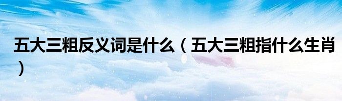 五大三粗反义词是什么(五大三粗指什么生肖)