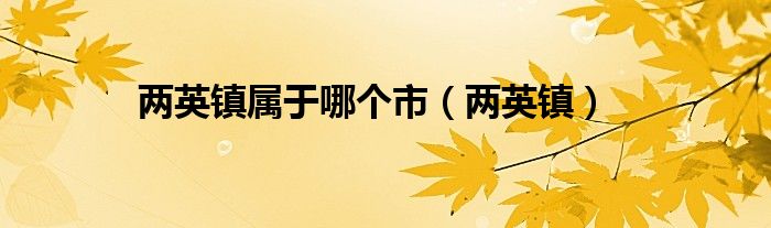两英镇属于哪个市(两英镇)