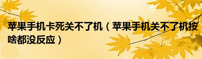 苹果手机卡死关不了机(苹果手机关不了机按啥都没反应)