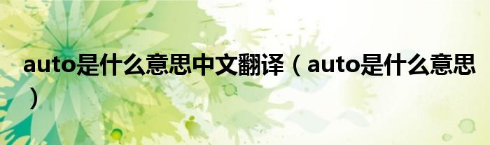 auto是什么意思中文翻译(auto是什么意思)